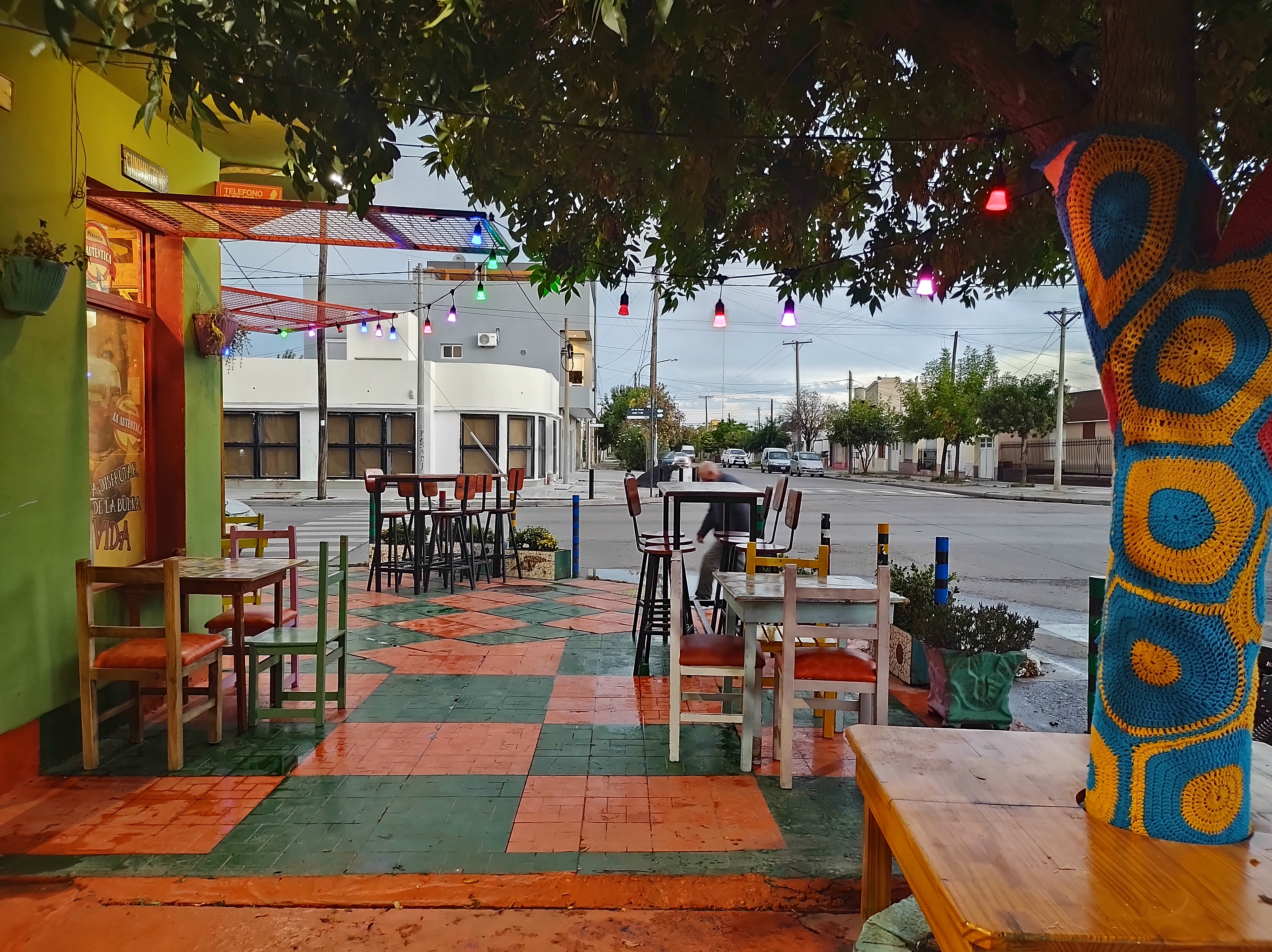 Árbol Tejido - foto 8